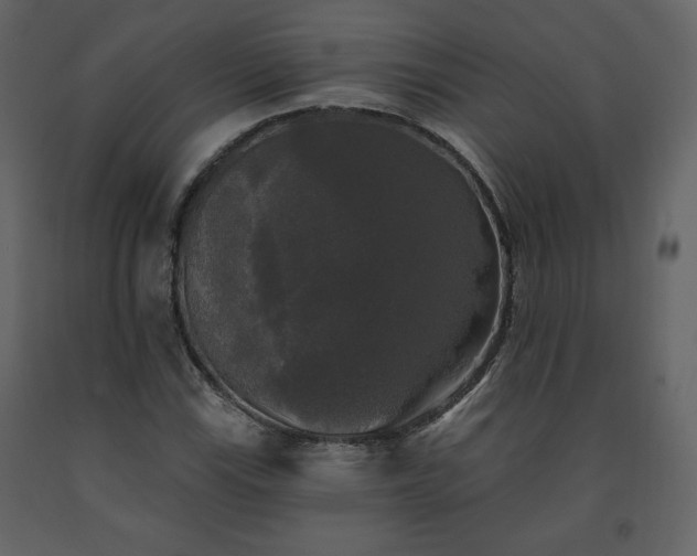 X0000091511115200708241623