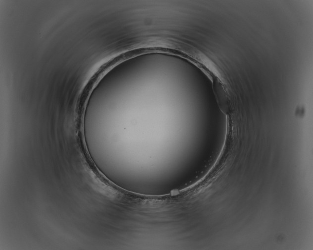 X0000091511116200708241623