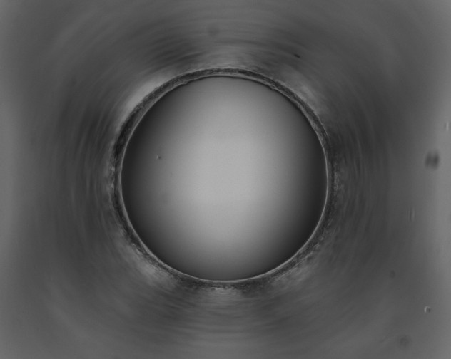 X0000091511119200708241623