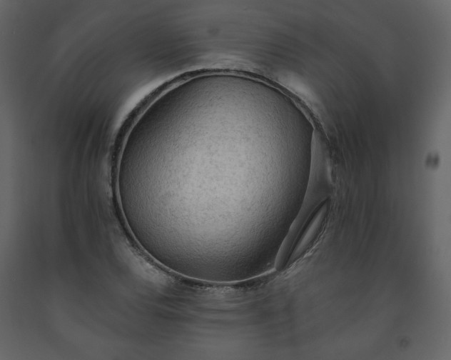 X0000091511120200708241623