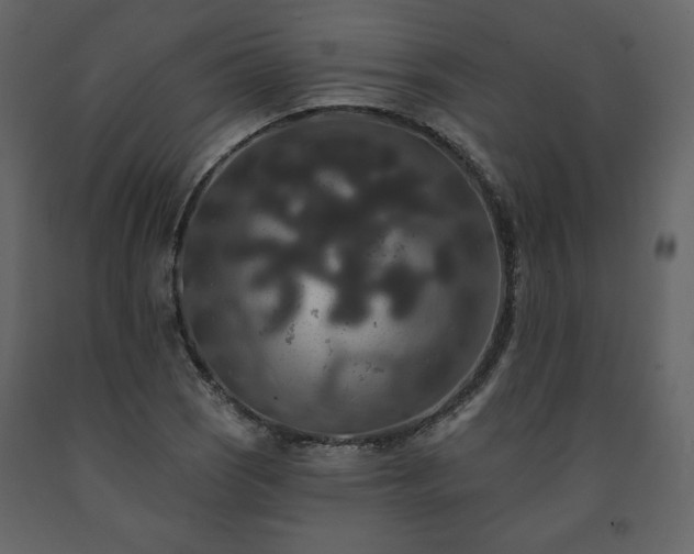 X0000091511121200708241623