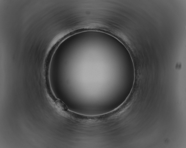 X0000091511122200708241623