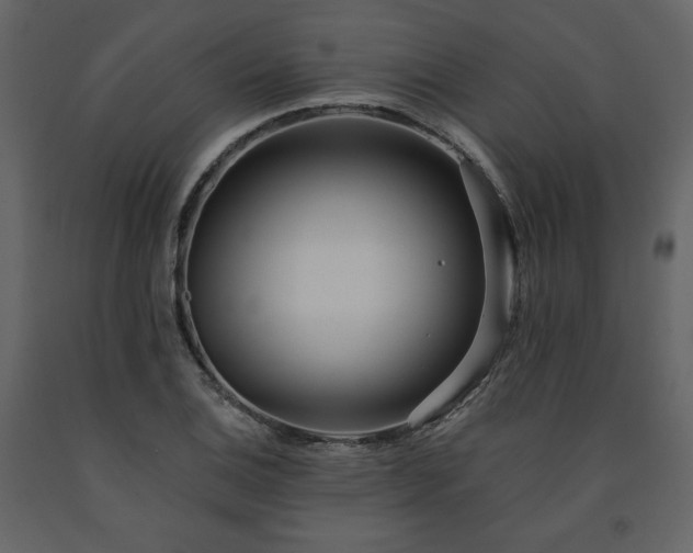 X0000091511124200708241623