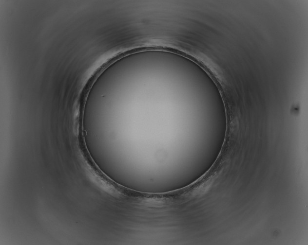 X0000091511126200708241623