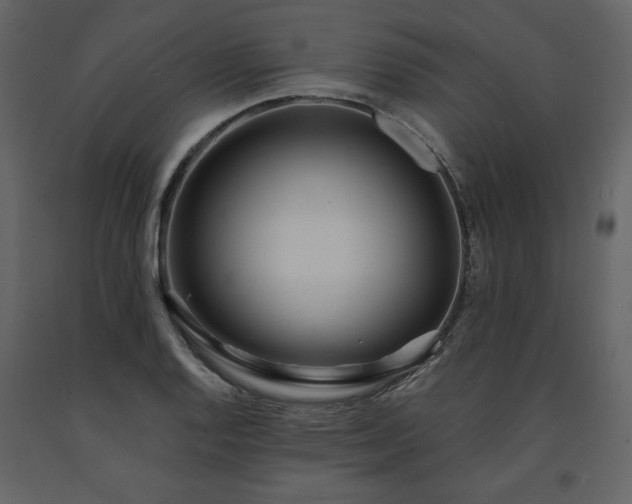 X0000091511128200708241623