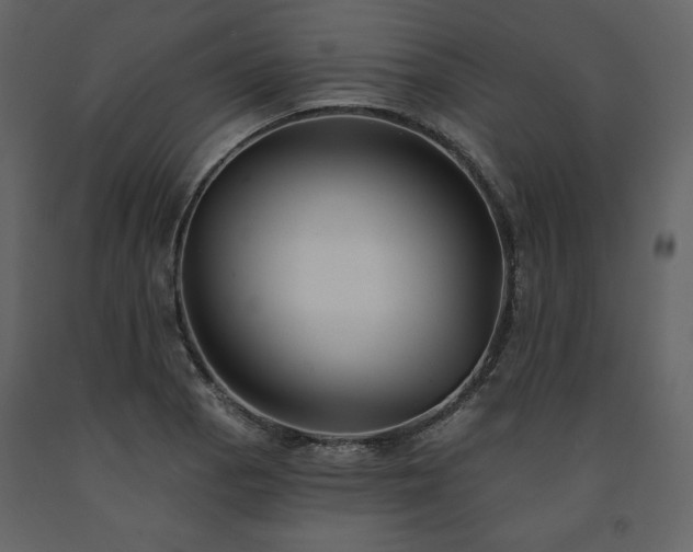 X0000091511129200708241623