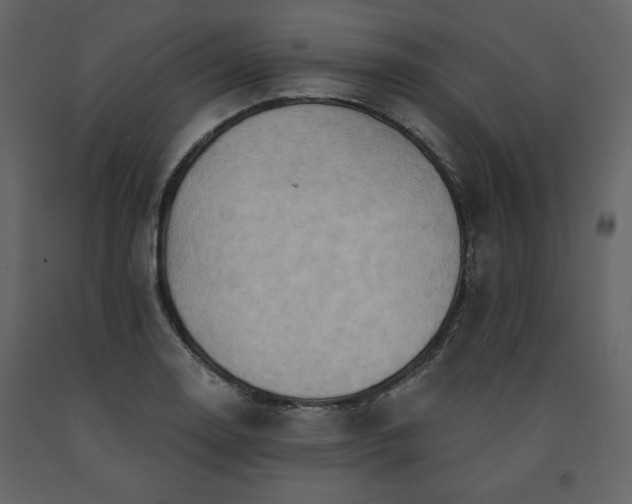 X0000091511130200708241623