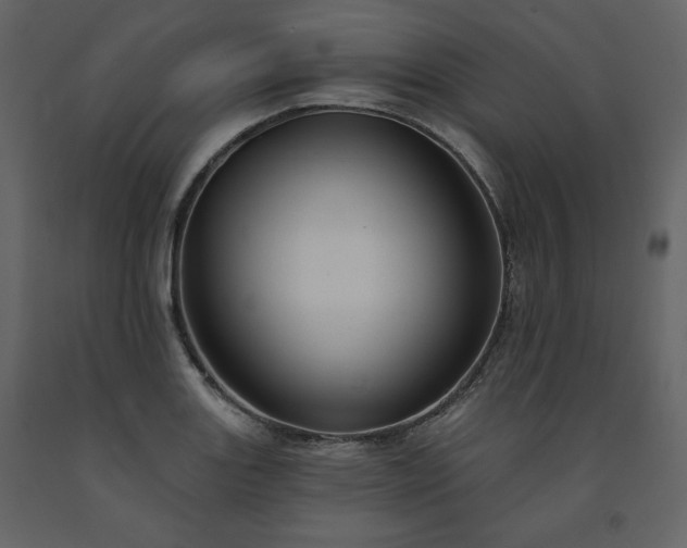 X0000091511131200708241623