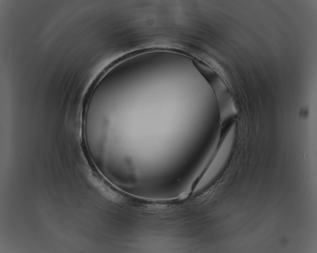 X0000091511132200708241623