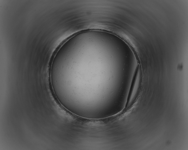 X0000091511133200708241623