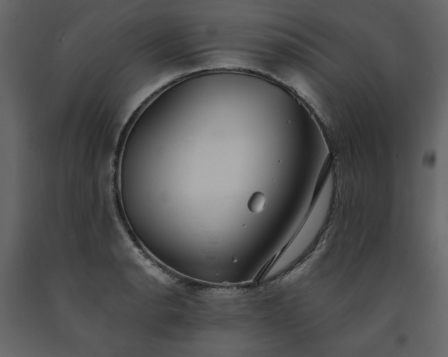 X0000091511134200708241623