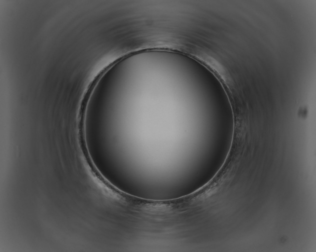 X0000091511135200708241623