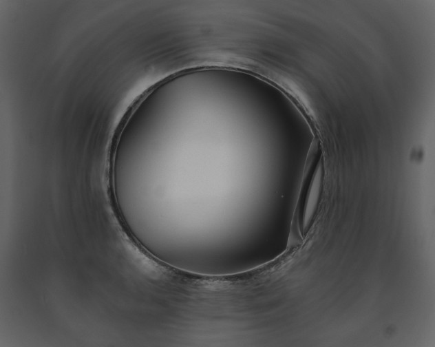 X0000091511136200708241623