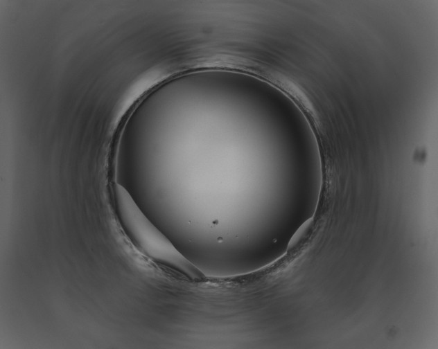 X0000091511138200708241624