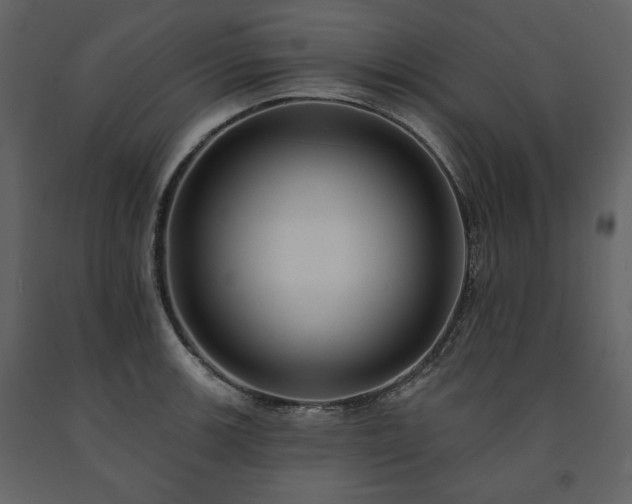 X0000091511139200708241624