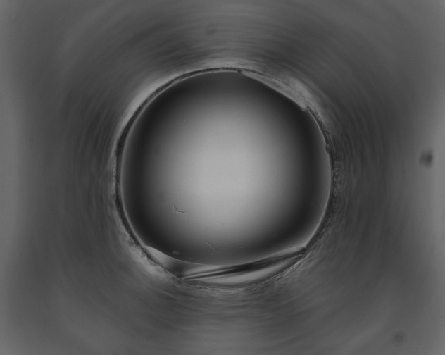 X0000091511140200708241624