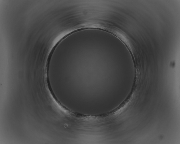 X0000091511141200708241624