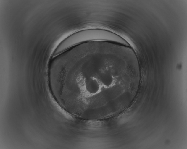 X0000091511142200708241624