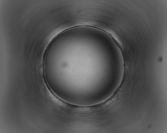 X0000091511143200708241624