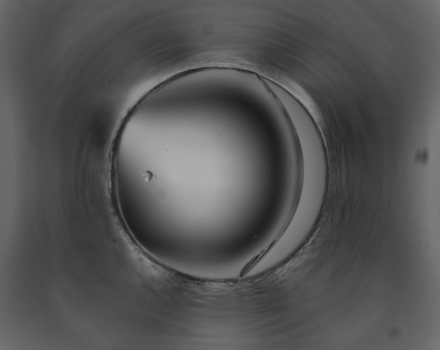 X0000091511144200708241624