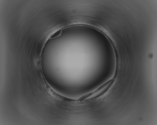 X0000091511145200708241624