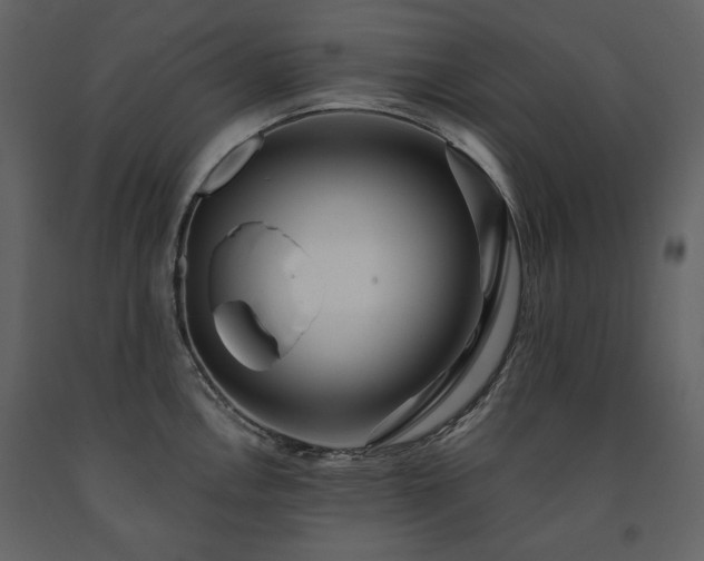 X0000091511146200708241624