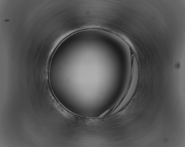 X0000091511148200708241624