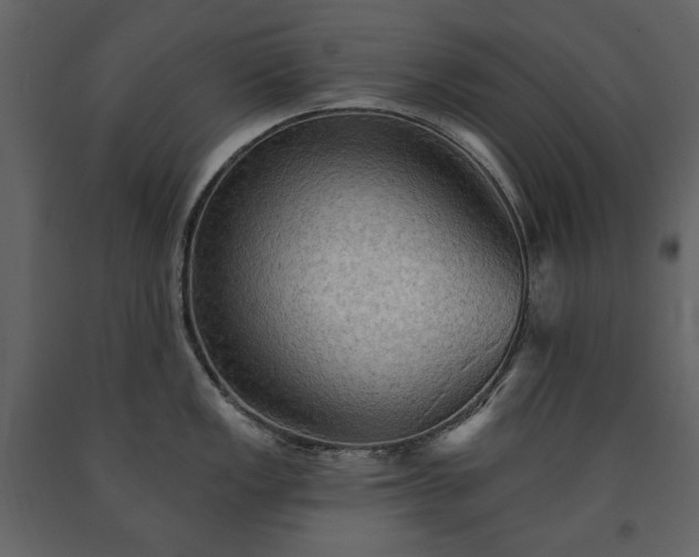 X0000091511149200708241624