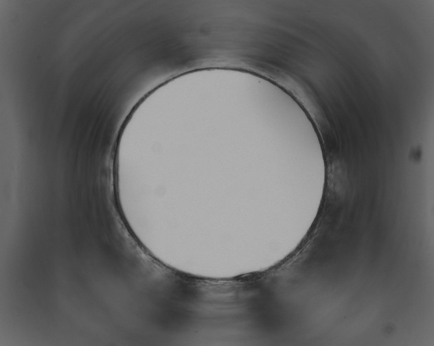 X0000091511150200708241624