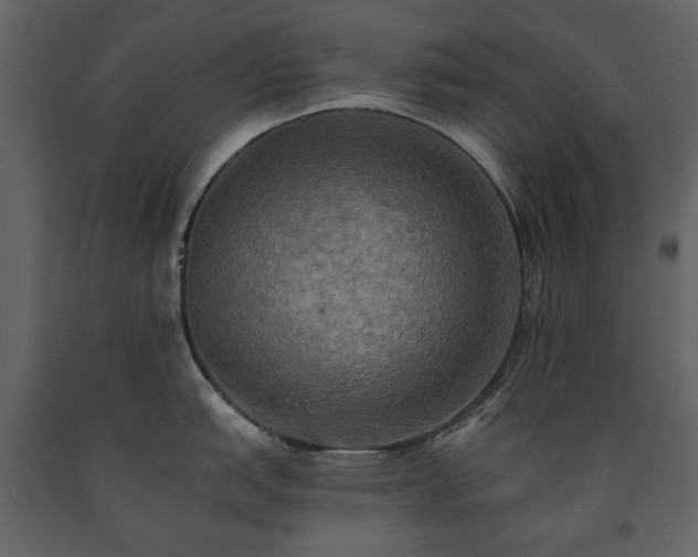 X0000091511151200708241624