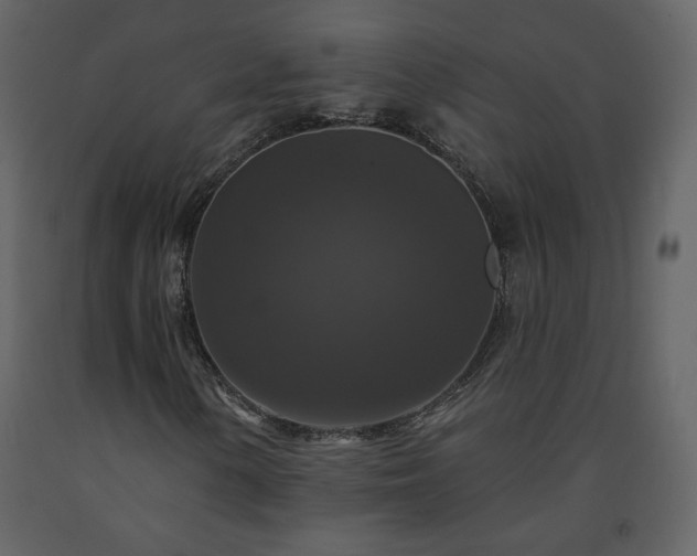 X0000091511154200708241623