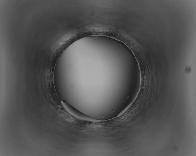 X0000091511157200708241623