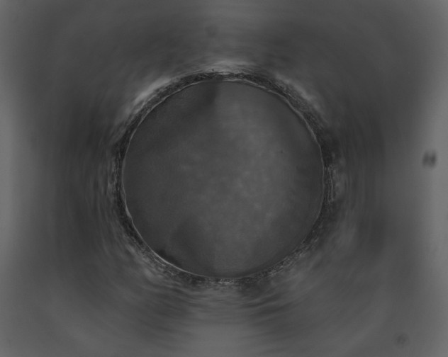 X0000091511158200708241623