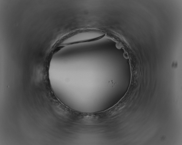 X0000091511160200708241623