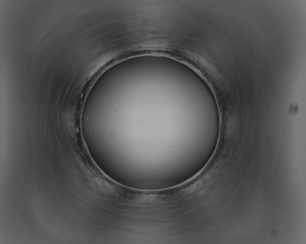 X0000091511162200708241623