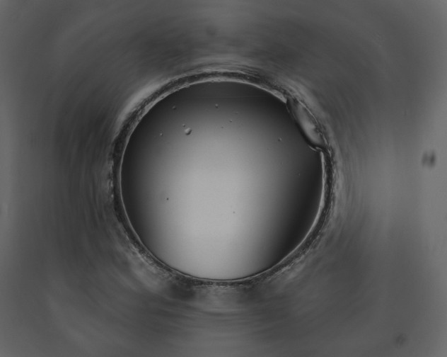 X0000091511164200708241623