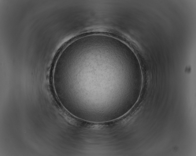 X0000091511166200708241623