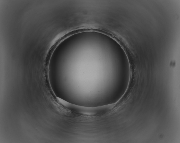 X0000091511168200708241623