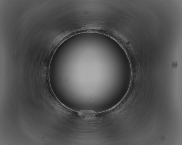 X0000091511169200708241623