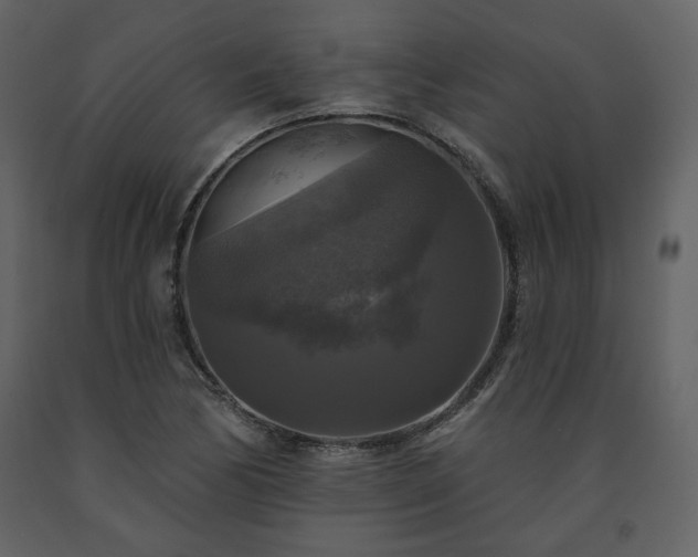 X0000091511170200708241623