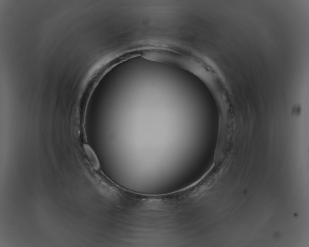 X0000091511172200708241623