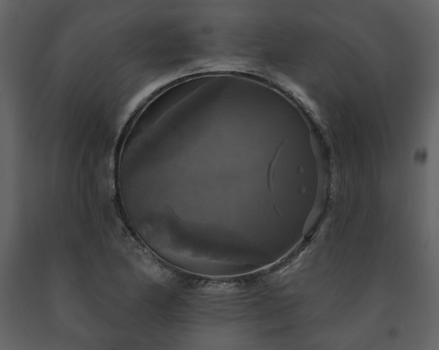 X0000091511174200708241623