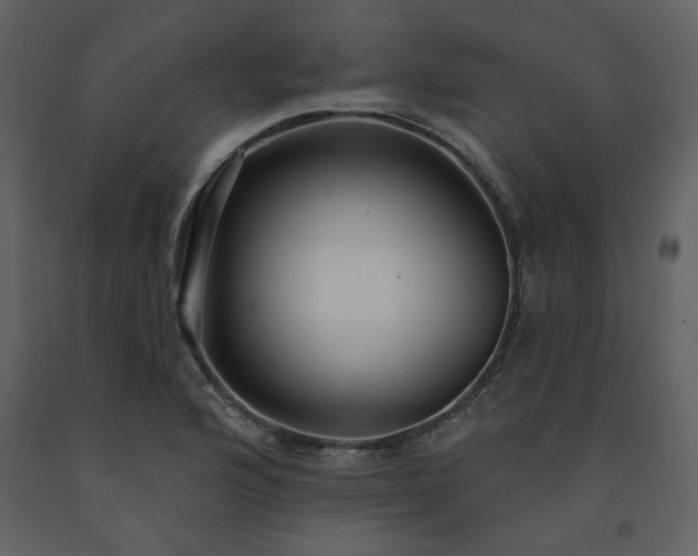 X0000091511176200708241623