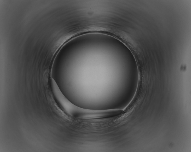 X0000091511177200708241623