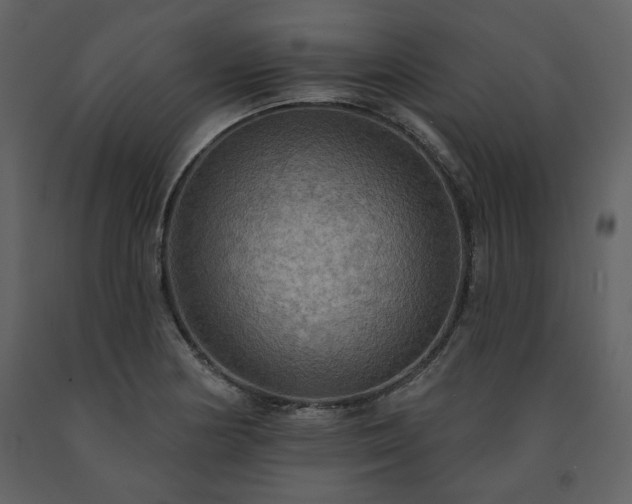 X0000091511178200708241623