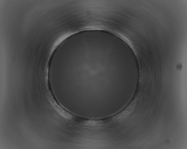 X0000091511179200708241623