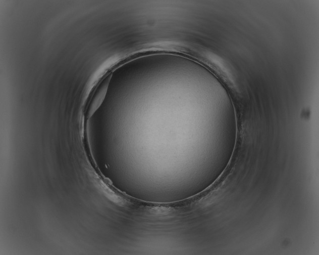 X0000091511180200708241623