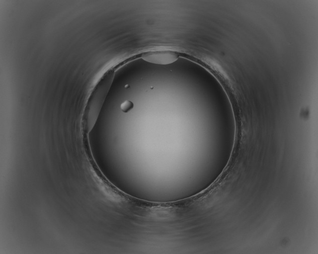 X0000091511181200708241623