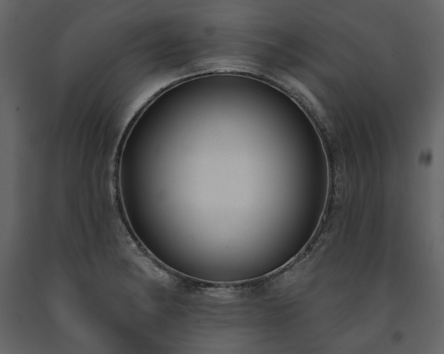 X0000091511182200708241623