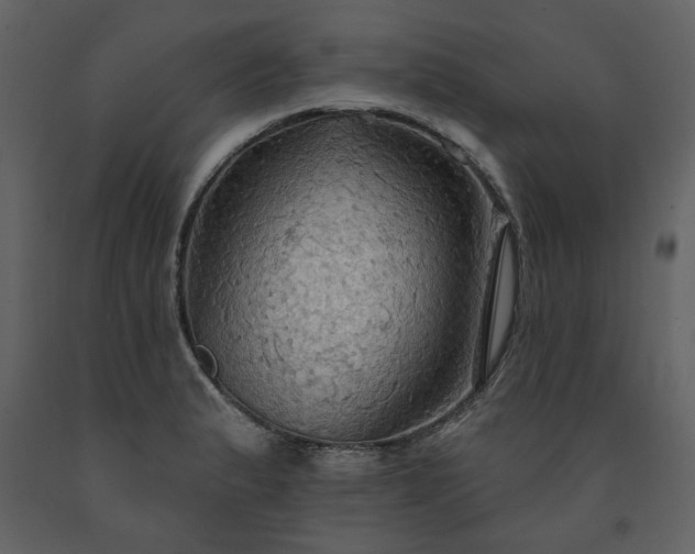 X0000091511183200708241623